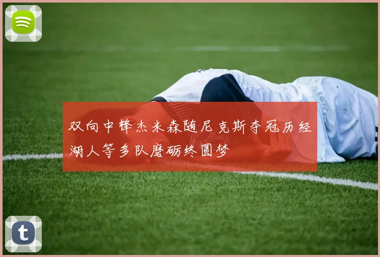 双向中锋杰米森随尼克斯夺冠历经湖人等多队磨砺终圆梦