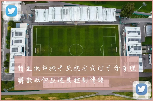 特里批评枪手庆祝方式过于浮夸理解激动但应适度控制情绪